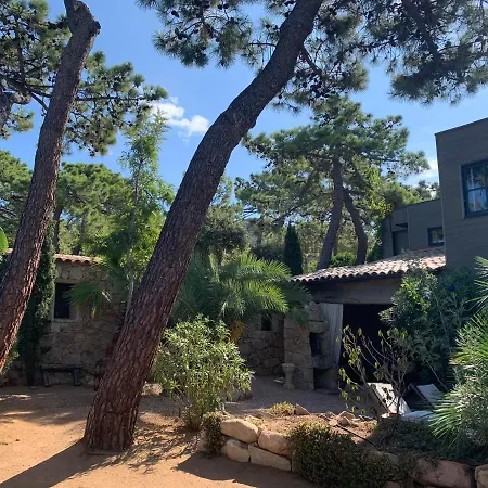 Maranatha, Front De Avec 4*