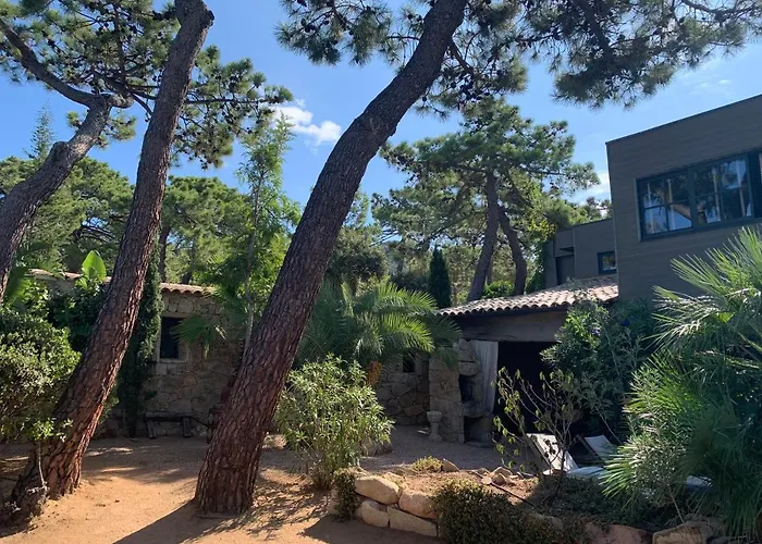 Maranatha, Front De Avec 4*