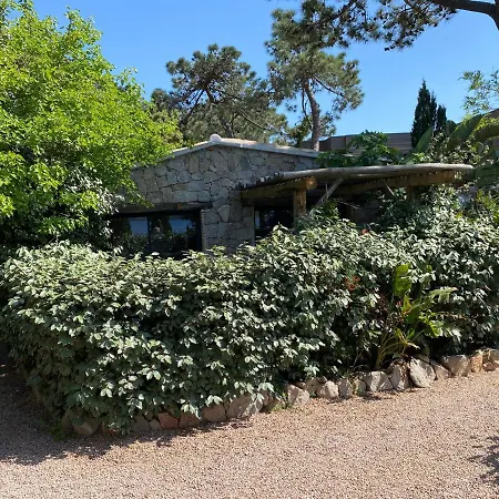 Maranatha, Front De Avec 4*
