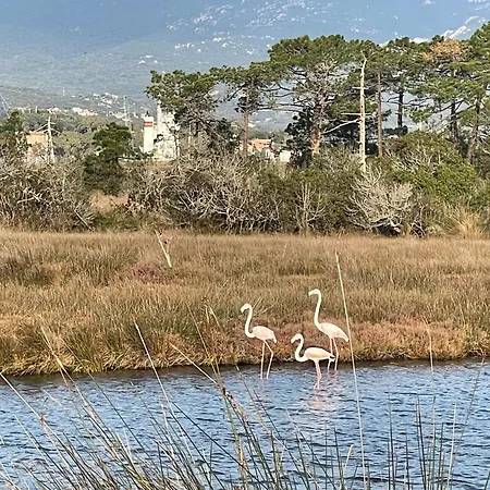 Maranatha, Front De Avec شقة فندقية
