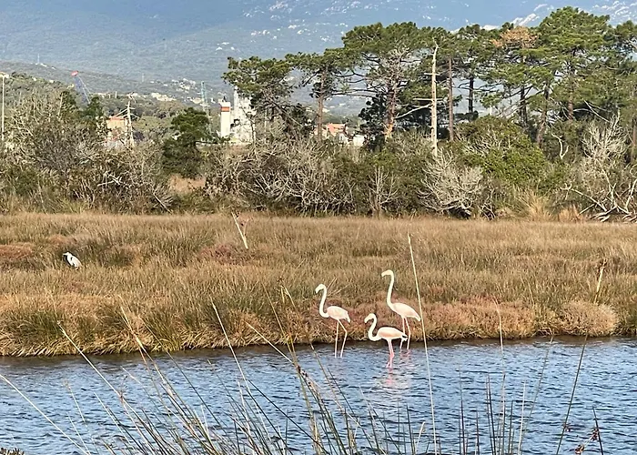 Maranatha, Front De Avec 公寓式酒店