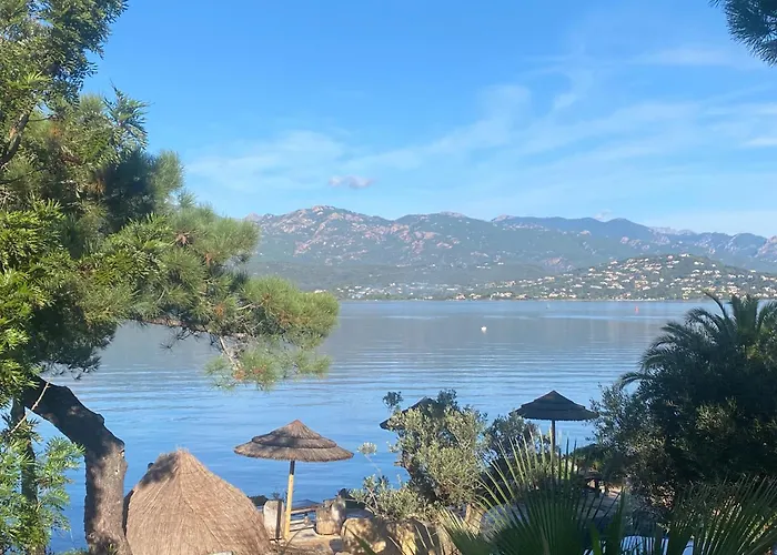 Maranatha, Front De Avec 4* 维琪奥港