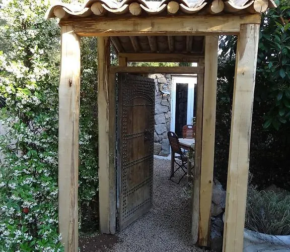 Maranatha, Front De Avec 维琪奥港